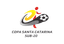 Copa Santa Catarina logo