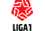 Primera División logo