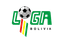 Primera División logo