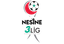 3. Lig - Group 3 logo