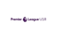 U18 Premier League - South logo