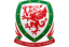 League Cup logo