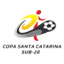 Copa Santa Catarina logo