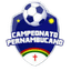 Pernambucano - U20 logo