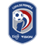 Division Profesional - Apertura logo