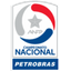 Primera División logo