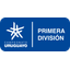 Primera División - Apertura logo