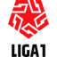 Primera División logo