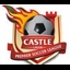 Premier Soccer League logo