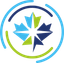 Canadian Premier League logo