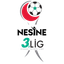 3. Lig - Group 2 logo