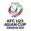 AFC U23 Asian Cup - Qualification logo