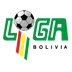Primera División