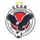Águia Negra logo