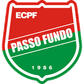 Passo Fundo logo