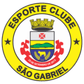 São Gabriel logo