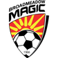 Broadmeadow Magic logo