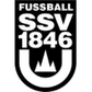 Ulm U19 logo