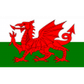 Wales U19 logo