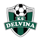 Delvina logo