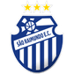 São Raimundo AM logo