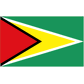 Guyana U20 logo