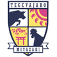 J.FC Miyazaki logo