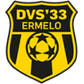 DVS 33 Ermelo logo