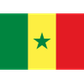 Senegal U17 logo