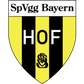 Bayern Hof logo