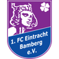 Eintracht Bamberg logo