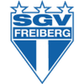 SGV Freiberg logo