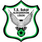 Sokół Aleksandrów logo