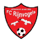Rijnvogels logo