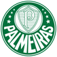 Palmeiras U20 logo
