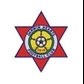 Darwin Hearts logo