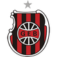 Brasil DE Pelotas logo
