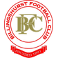 Billingshurst logo