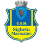 Sighetu Marmaţiei logo
