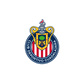 Guadalajara W logo