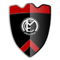 FCM Ungheni logo