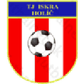 Holíč logo
