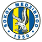 Sokol Medzibrod logo