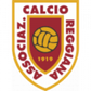 Reggiana U19 logo
