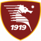 Salernitana U19 logo