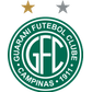 Guarani B logo