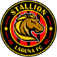 Stallion logo
