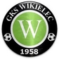 Wikielec logo