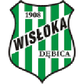 Wisłoka Dębica logo