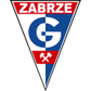 Górnik Zabrze U19 logo